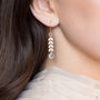 Gold Or Silver Plated Leaf Chain Birthstone Earrings, thumbnail 4 of 12