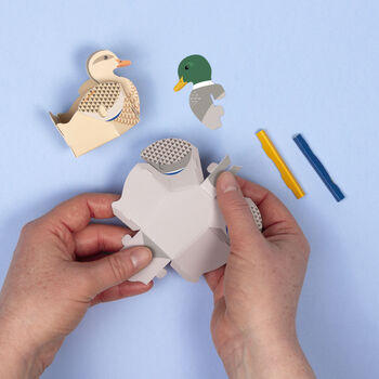Create Your Own Blow Ducks Mini Kit, 6 of 6
