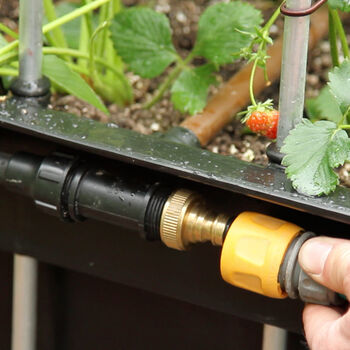 Self Watering Vegetable Plot For Courtyards And Patios, 5 of 11
