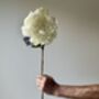 Artificial White Peony Stem, thumbnail 5 of 7