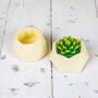 Pastel Jesmonite Planters, thumbnail 7 of 7