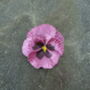 Pansy Pink Flower Brooch, thumbnail 1 of 5