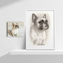 Personalised Black And White Pencil Sketch Pet Portrait, thumbnail 3 of 7