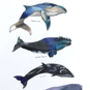Whales Of The World A4 Foiled Art Print, thumbnail 3 of 3
