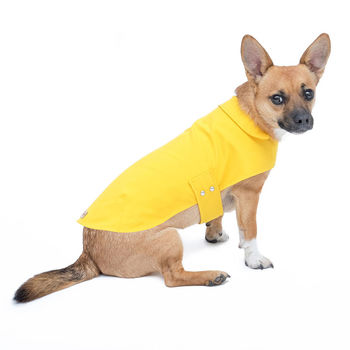 All Weather Dog Coat, With Carry Pouch, 4 of 12