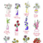 Personalised Birth Flower Women's Birthday Socks, thumbnail 4 of 4