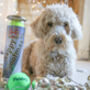 Personalised Dog Tennis Balls, thumbnail 11 of 12