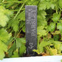Engraved Personalised Slate Herb Plant Markers, thumbnail 3 of 4
