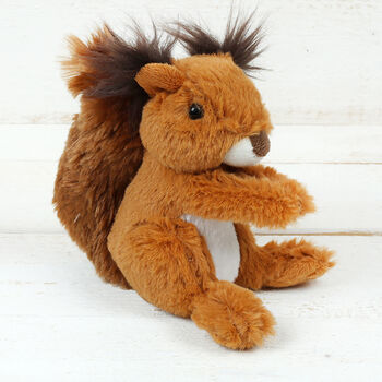 Personalised Squirrel Soft Plush Toy, Nuts About You, 2 of 4