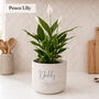 Personalised Birthday Gift For Dad | Indoor Pot Add Plant, thumbnail 3 of 6