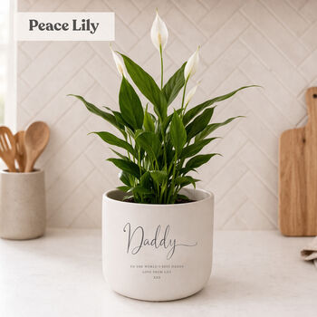 Personalised Birthday Gift For Dad | Indoor Pot Add Plant, 3 of 6