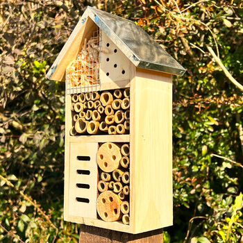 Wood Insect Hotel And Bug Habitat For Garden, 6 of 8