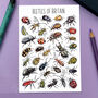 Beetles Of Britain Watercolour Postcard, thumbnail 1 of 8