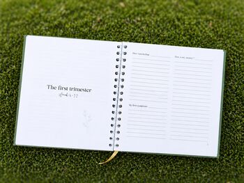 Pregnancy After Ivf Journal, 2 of 10