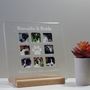 Personalised Pet Glass Photograph Display Frame, thumbnail 1 of 2