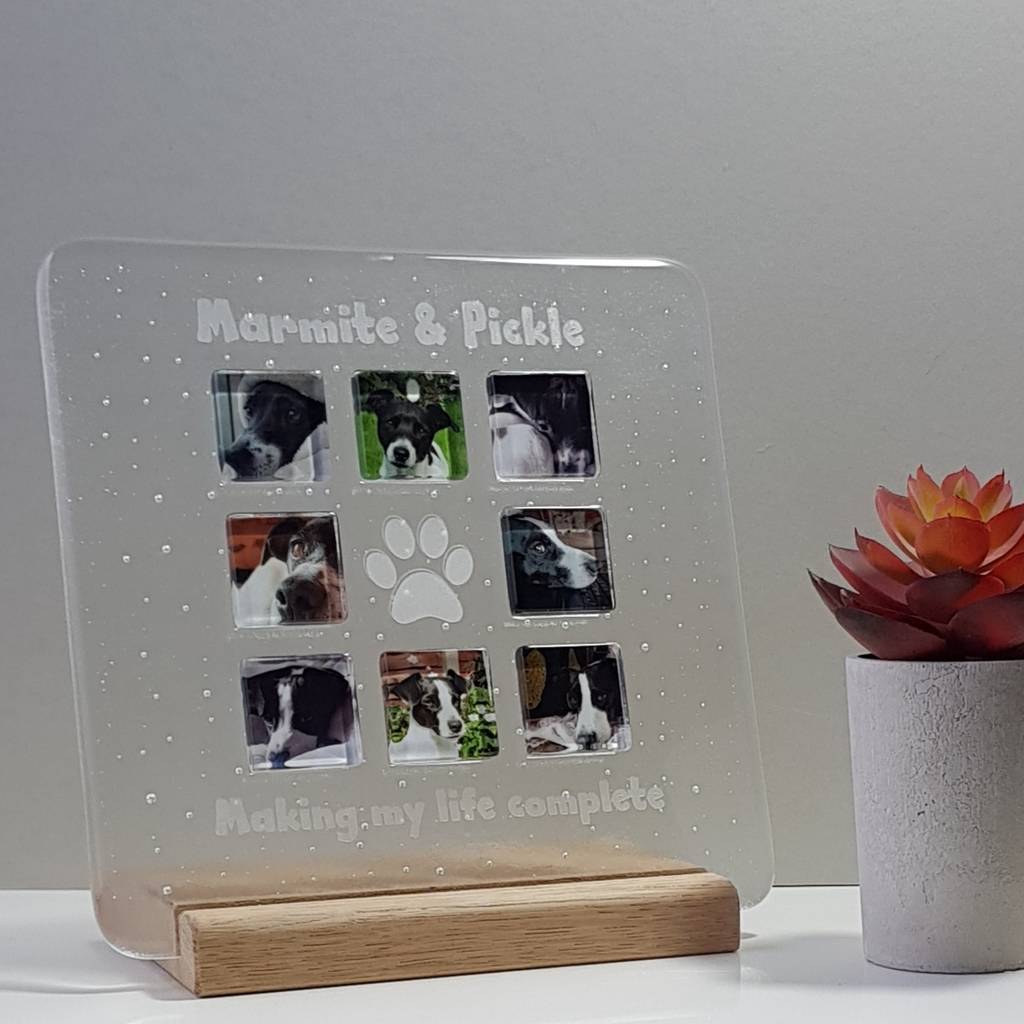 Personalised Pet Glass Photograph Display Frame By Martasha Personalised Pet Glass Photograph Display Frame