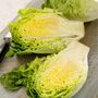 Salad Plants Lettuce 'Little Gem' Plug Plant Packs, thumbnail 3 of 5