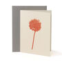 Orange Allium Notecard, thumbnail 2 of 2