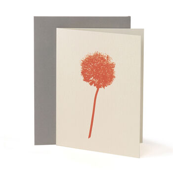 Orange Allium Notecard, 2 of 2