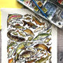 Freshwater Fish Of Britain Greeting Card, thumbnail 6 of 7
