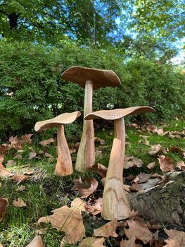 Set Of Three Wooden Mushrooms For Garden, 4 of 12