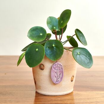 Birth Flower Pottery Plant Pot Gift Handmade Planter, 4 of 10