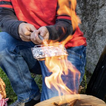 Campfire Toast Cage, 2 of 3