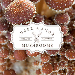 Deer Manor Gourmet Mushroom's logo with a background of organic freckled chestnut mushrooms