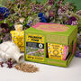 Pollinator Power Seedbom Gift Box, thumbnail 1 of 8