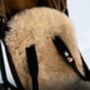 Baby Deluxe Sheepskin Pram Liner, thumbnail 6 of 11