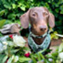 Green Meadow Daisy Dog Collar, thumbnail 5 of 8