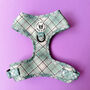 Dog Harness Padded Adjustable In Sage Green Check, thumbnail 1 of 11