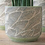 Terracotta 'Leaf' Planters And Vase, thumbnail 6 of 7