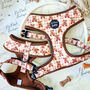 Vintage Bears Gingham Dog Harness With Optional Set, thumbnail 3 of 9