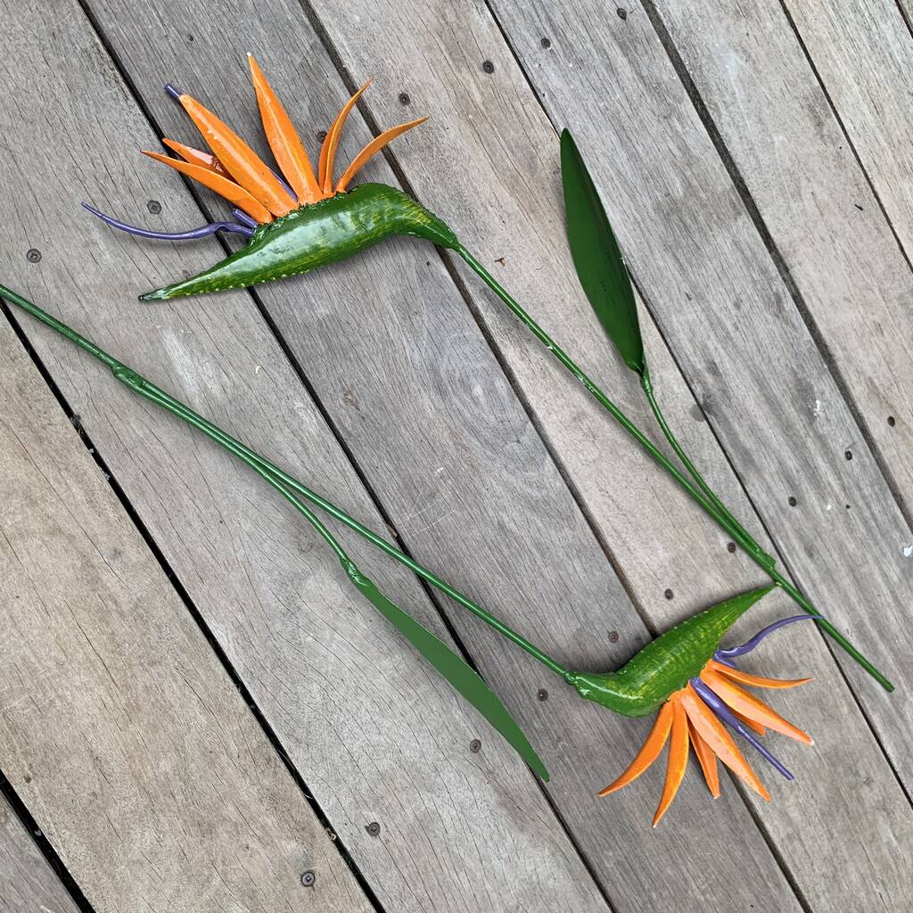 Bird Of Paradise Garden Stake Set/Two Art121 By London Garden Trading