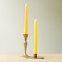 Bold And Bright Taper Candles | Six Pack, thumbnail 4 of 6