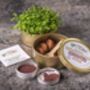 Grow Your Own Microgreens Teeny Greeny Micrology® Kit, thumbnail 8 of 12