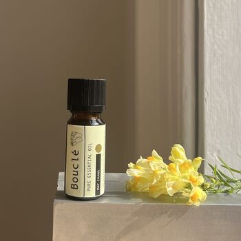 Pure Essential Oils Single Oils For Aromatherapy And Home Fragrance, 4 of 12