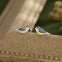 Blue Tit Bird Stud Earrings In Sterling Silver, thumbnail 1 of 12