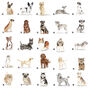 'Pawprints On Your Heart' Dog Tin 80 Breeds Available, thumbnail 7 of 10