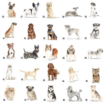'Pawprints On Your Heart' Dog Tin 80 Breeds Available, 7 of 10