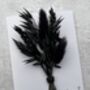 Black Dried Flowers / Maid Of Honour Proposal Card Gift, thumbnail 3 of 4