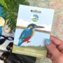 R.S.P.B. Kingfisher Bird Sew On Patch, thumbnail 1 of 2