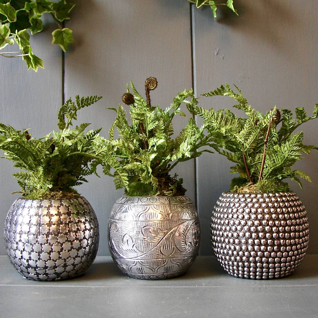Pewter Succulent Planter By London Garden Trading | notonthehighstreet.com