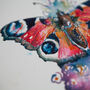 Pen And Ink Butterfly Drawing Workshop Video Tutorial Gift Set, thumbnail 5 of 12