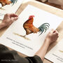 Rhode Island Red Cockerel Bird Print, thumbnail 1 of 6