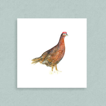 Game Animals Greetings Cards, 4 of 8
