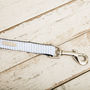 The Putney Blue Striped Dog Collar And Lead Set, thumbnail 4 of 5