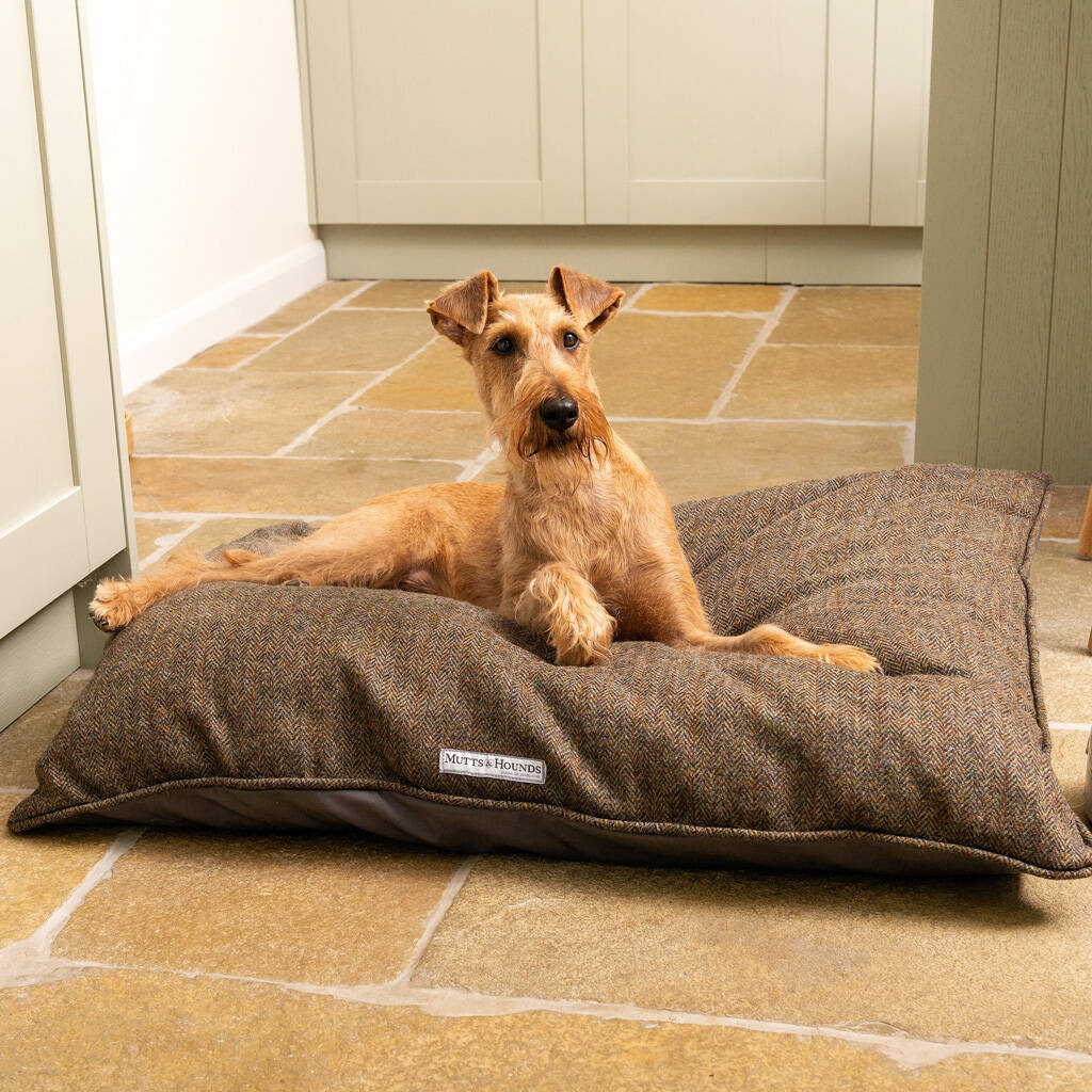 Tweed Pillow Dog Bed By Mutts & Hounds