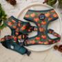 Harvest Pumpkin Patch Dog Harness, thumbnail 1 of 5